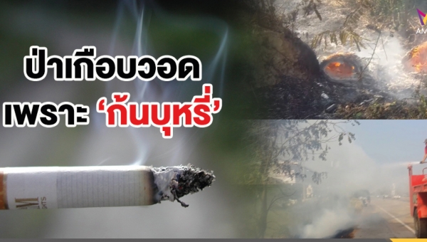 Press Release : ศจย.ห่วงไฟไหม้จากก้นบุหรี่
